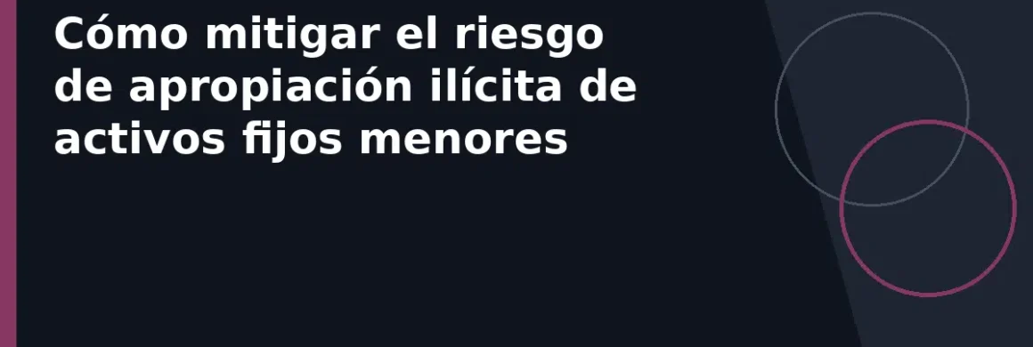 Cómo mitigar el riesgo de apropiación ilícita de activos fijos menores