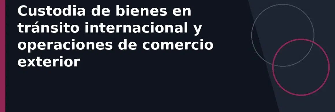 Custodia de bienes en tránsito internacional y operaciones de comercio exterior