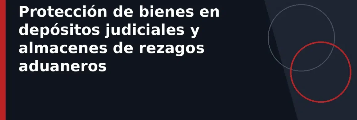 Protección de bienes en depósitos judiciales y almacenes de rezagos aduaneros